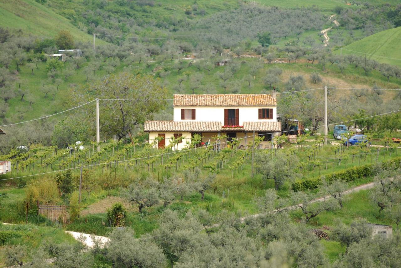 B&B Conca Del Pretore Лорето Апрутино Екстериор снимка