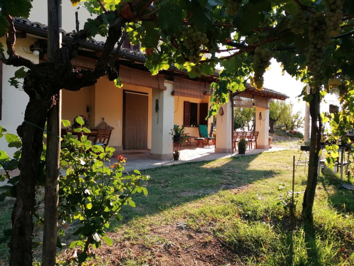 B&B Conca Del Pretore Лорето Апрутино Екстериор снимка
